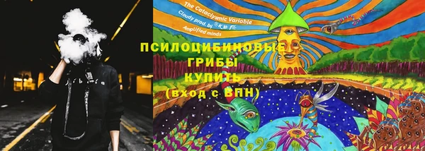 Альфа ПВП Аркадак