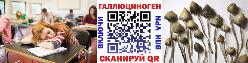Псилоцибиновые грибы Magic Shrooms Никольское
